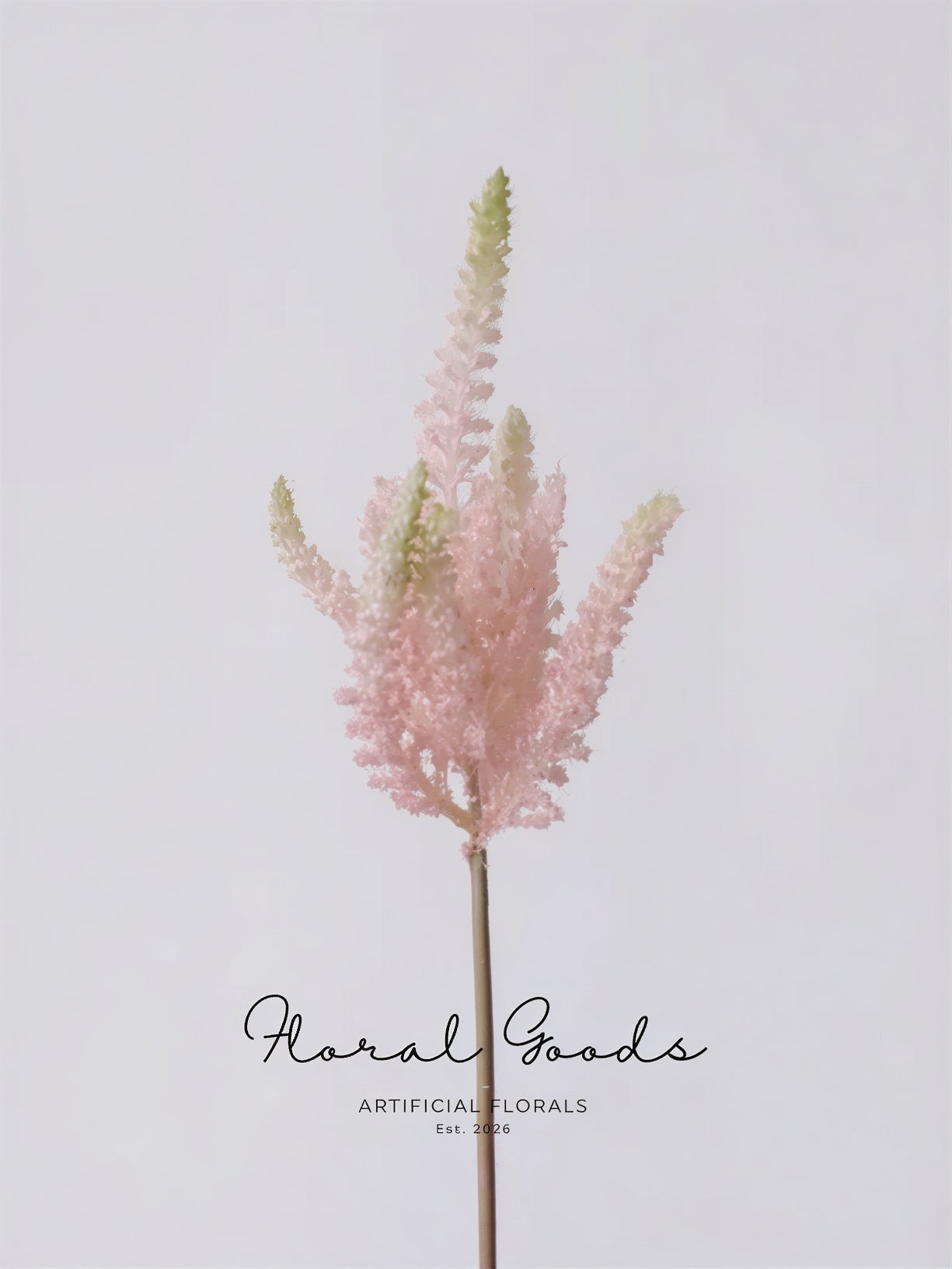 Blush Astilbe Spray