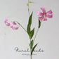 Blooming Lily Stem – 29.5"