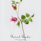 Clematis Bloom Stem – 17.7"