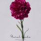 Classic Carnation Stem – 20"