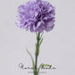 Classic Carnation Stem – 20"