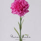 Classic Carnation Stem – 20"