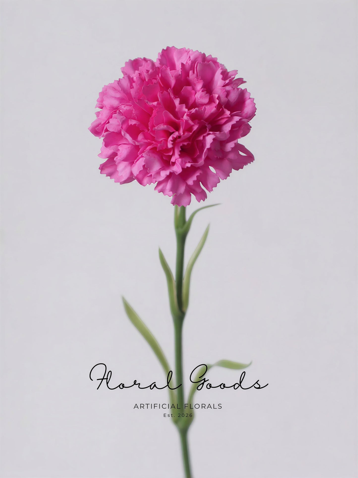 Classic Carnation Stem – 20"