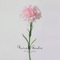 Classic Carnation Stem – 20"