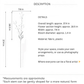 Delicate Lily of the Valley Spray Stem – 37.4"