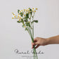 Meadow Daisy Mini Bundle – 19.7"