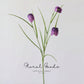 Delicate Fritillaria Spray – 22"