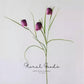 Delicate Fritillaria Spray – 22"