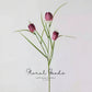 Delicate Fritillaria Spray – 22"