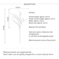 Delicate Fritillaria Spray – 22"