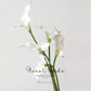 Elegant Calla Lily Stem – 24"