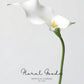 Elegant Calla Lily Stem – 24"