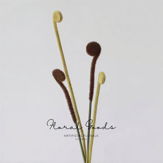 Minimal Fiddlehead Fern Stem – 17"