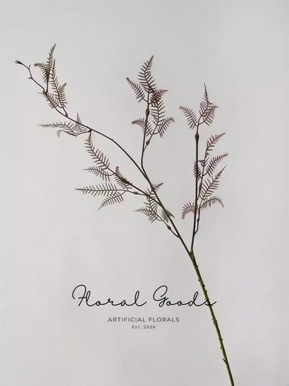 Feathery Asparagus Branch – 36"