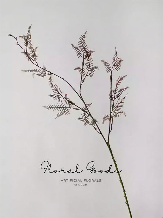 Feathery Asparagus Branch – 36"