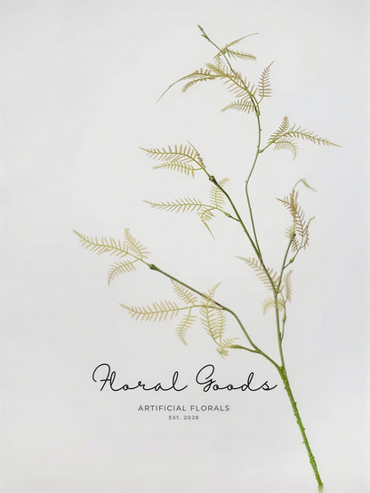 Feathery Asparagus Branch – 36"