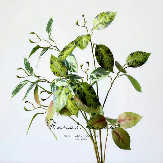 Variegated Ficus Branch – 29.5"