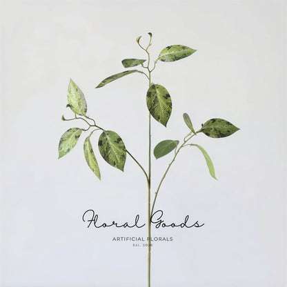 Variegated Ficus Branch – 29.5"
