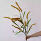 Foxtail Grass Stem – 30"