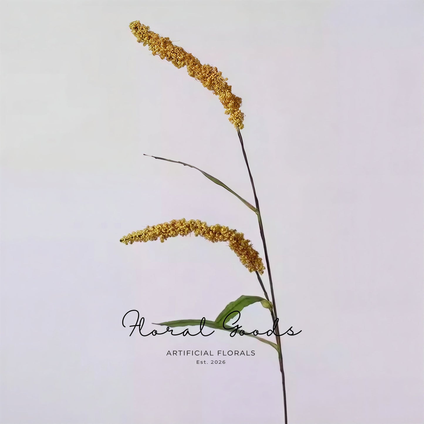 Foxtail Grass Stem – 30"