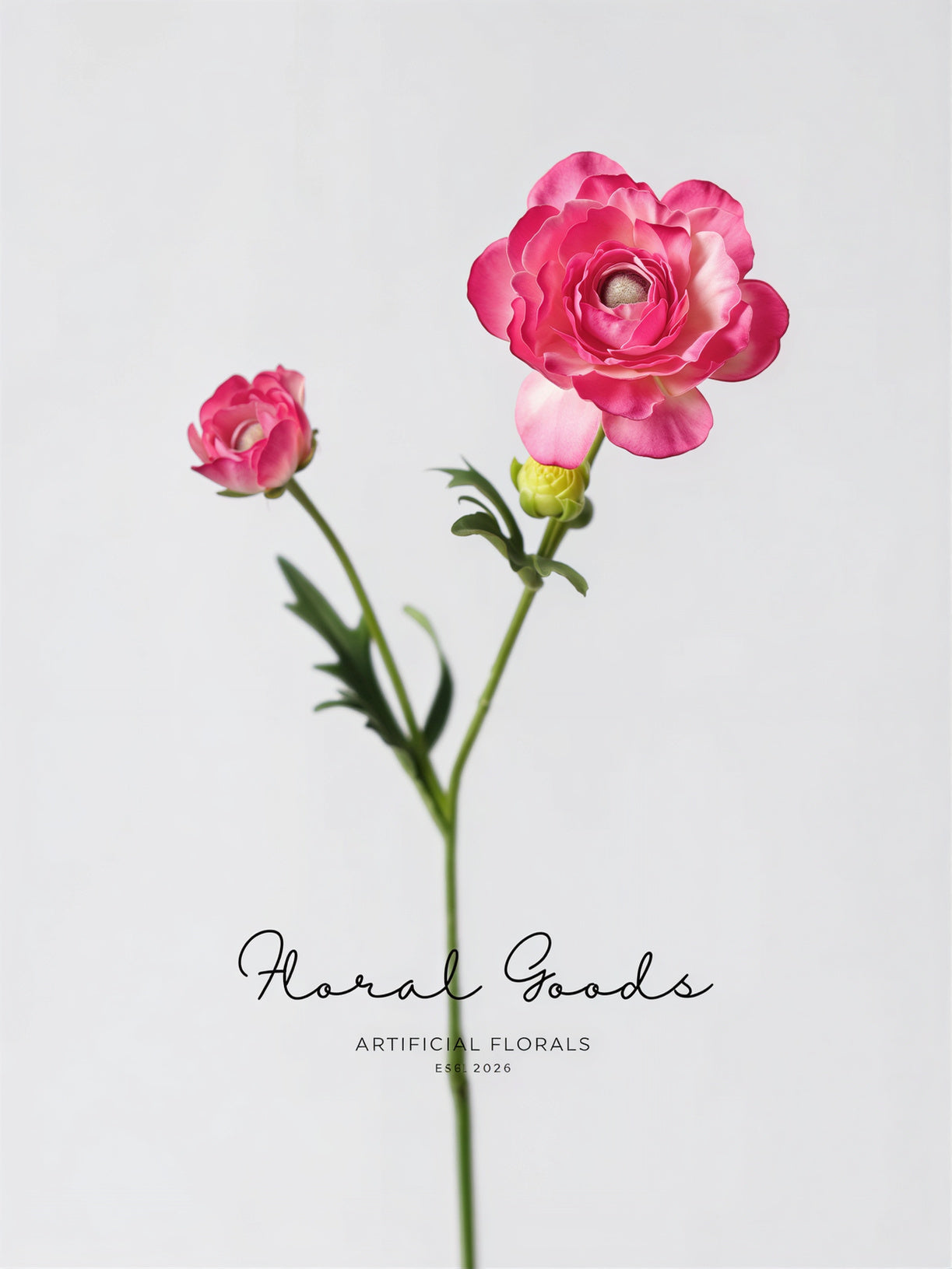 Garden Ranunculus Stem – 23.6"