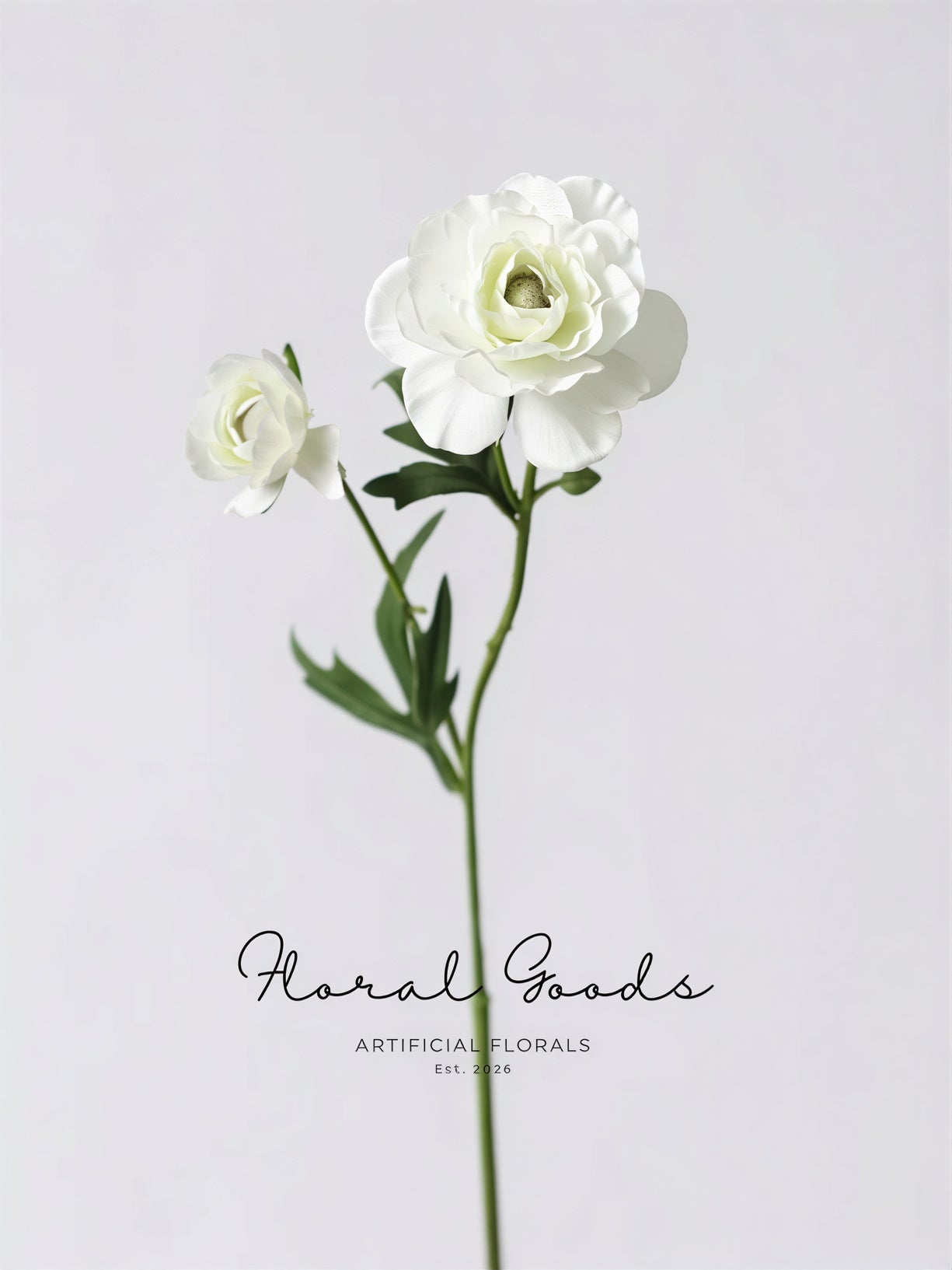 Garden Ranunculus Stem – 23.6"