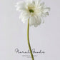 Soft Petal Gerbera Daisy Stem – 25.6"