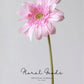 Soft Petal Gerbera Daisy Stem – 25.6"