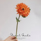 Textured Gerbera Stem – 14"