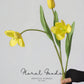 Graceful Tulip Stem  – 19"
