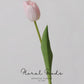 Graceful Tulip Stem  – 19"