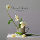 Graceful Tulip Stem  – 19"