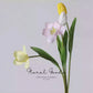 Graceful Tulip Stem  – 19"