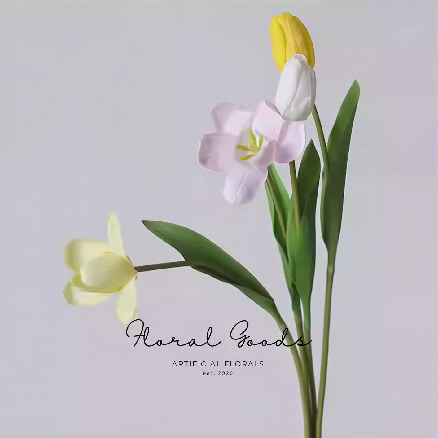 Graceful Tulip Stem  – 19"