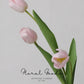 Graceful Tulip Stem  – 19"