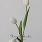 Graceful Tulip Stem  – 19"