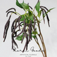 Hanging Amaranthus Branch – 27"