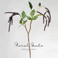 Hanging Amaranthus Branch – 27"