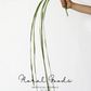 Ikebana Style Grass Stem Bundle – 39.5"