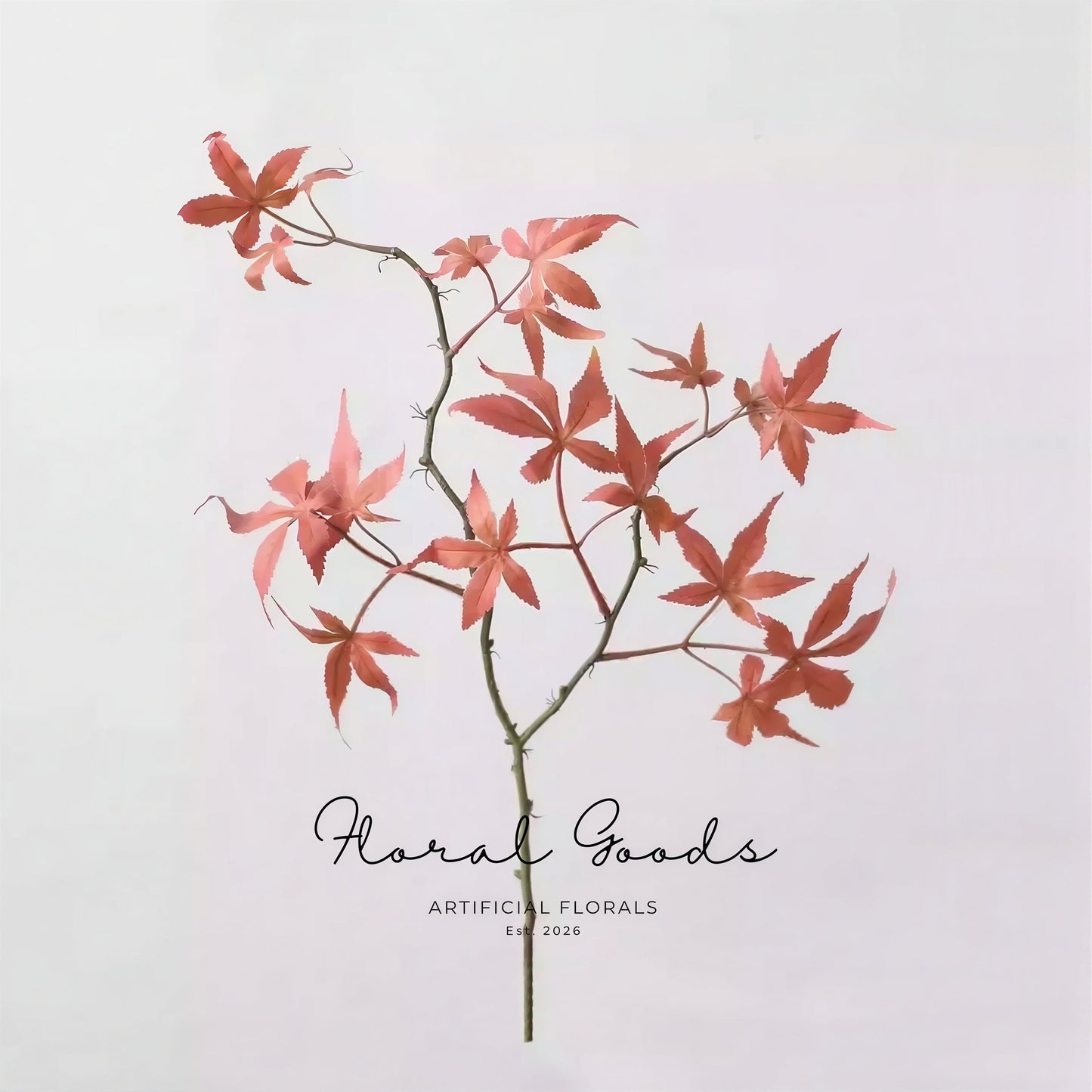 Japanese Maple Branch