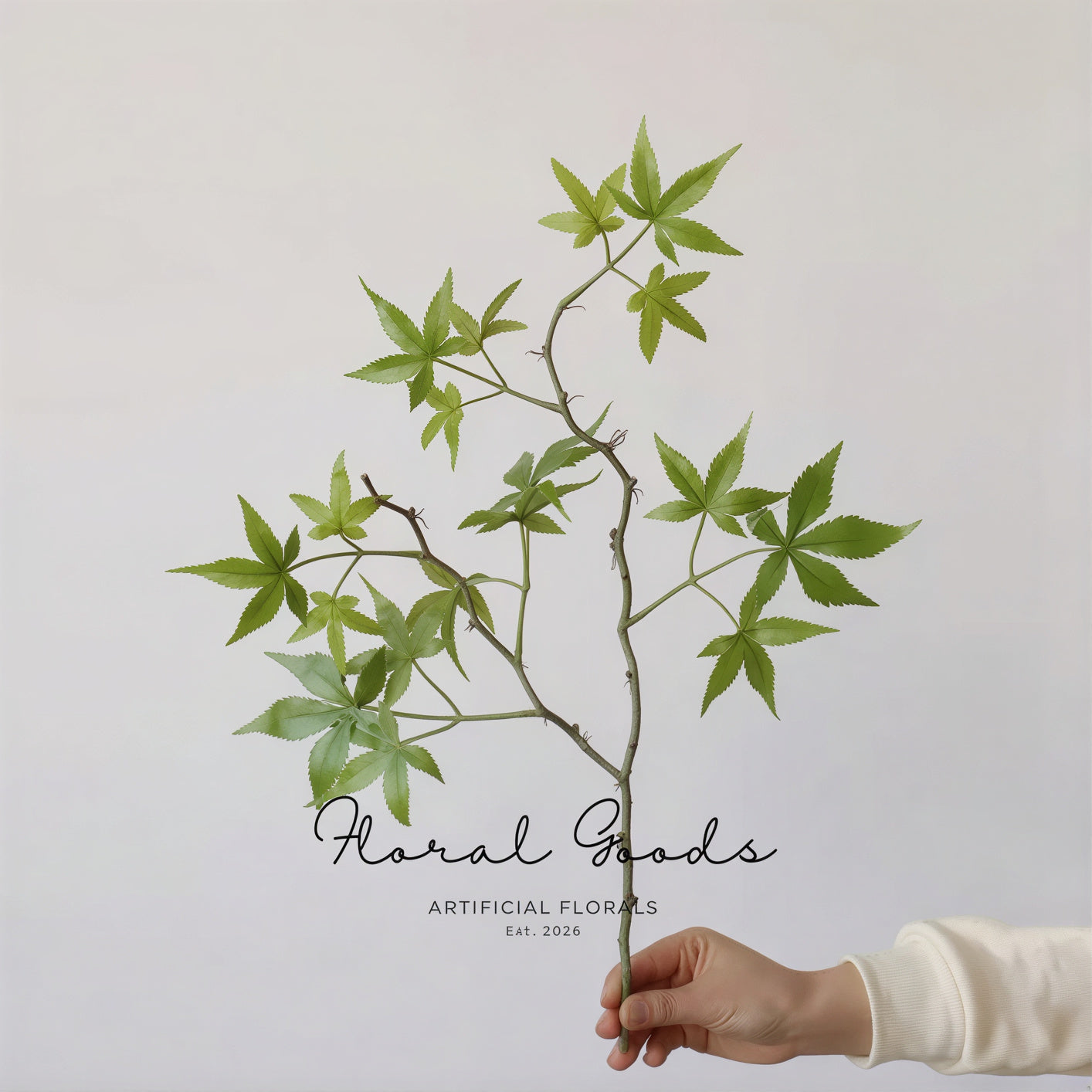 Japanese Maple Branch