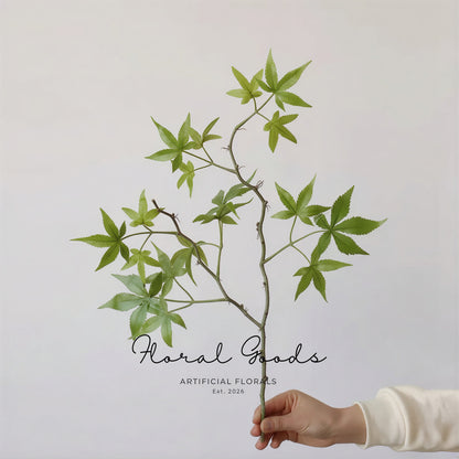 Japanese Maple Branch