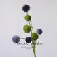 Modern Globe Thistle Stem – 17"