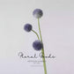 Modern Globe Thistle Stem – 17"