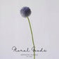 Modern Globe Thistle Stem – 17"