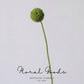 Modern Globe Thistle Stem – 17"