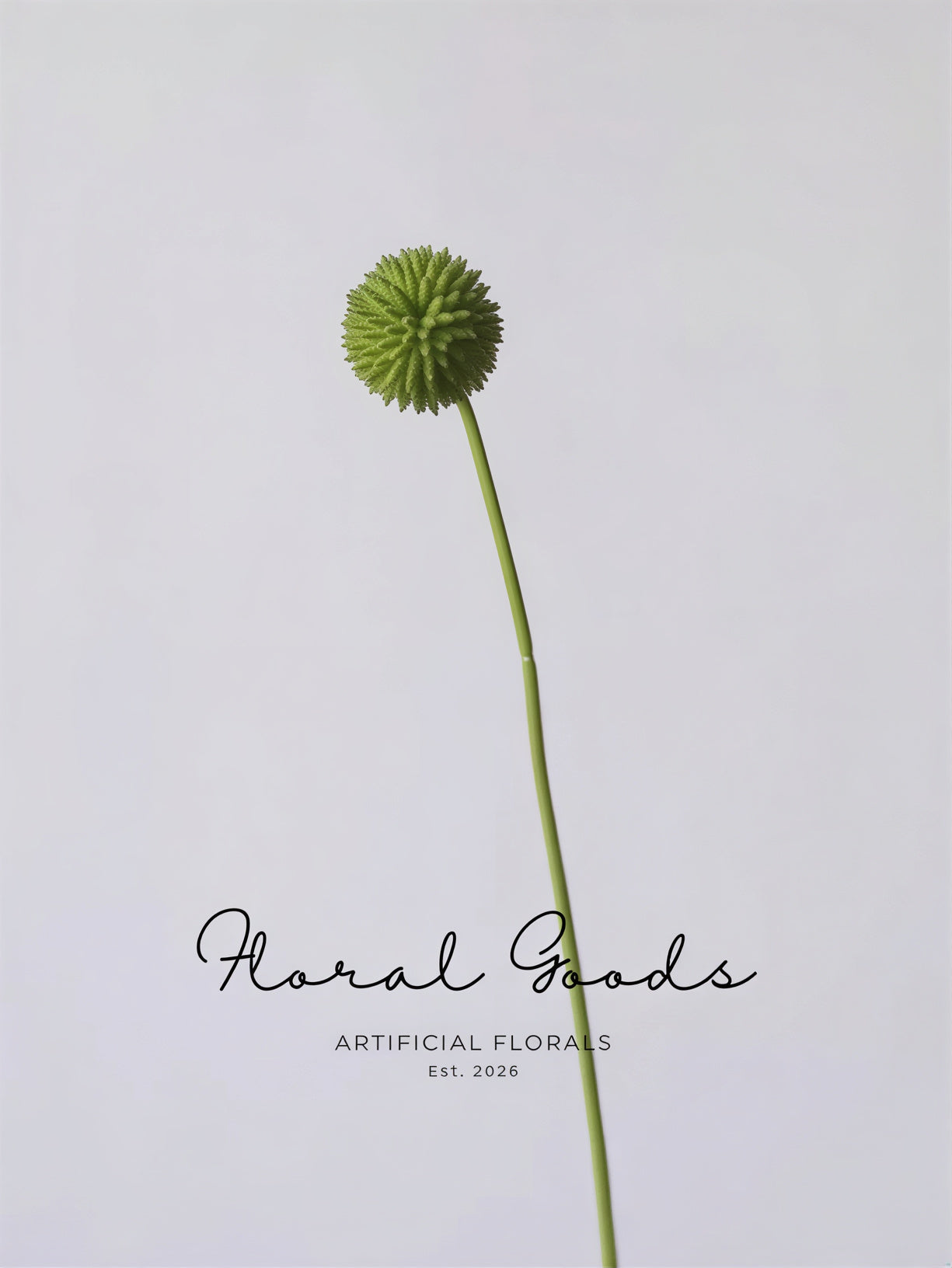 Modern Globe Thistle Stem – 17"