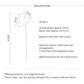 Modern Anthurium Stem – 24"