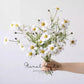 Meadow Cosmos Spray – 17"