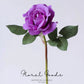 Modern Garden Rose Stem – 14"